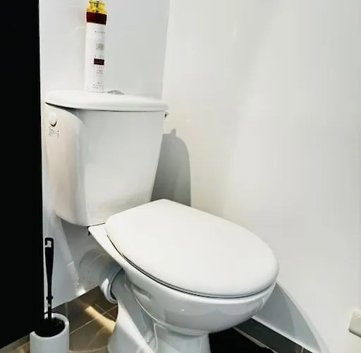 Apartment Lumineux *